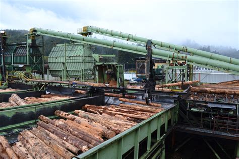 sawmill pacific lumber company palco eel river mill  mill