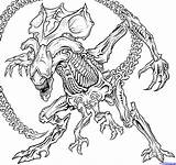 Alien Xenomorph Drawing Coloring Queen Pages Predator Line Tattoo Getdrawings Drawings Vs Outline Colouring Snake Head Printable Space Easy Realistic sketch template