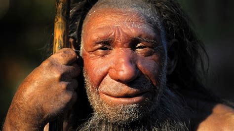 raetsel neandertaler warum starben sie aus planet wissen