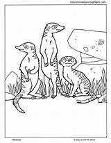 Meerkat Coloring Pages Drawing Life Animal Pi Colouring Zoo Animals Popular Color Getdrawings Choose Board sketch template