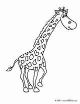 Jirafa Jirafas Girafe Giraffe Dessin Coloriage Hellokids Chistosa Jedessine Imprimer Colorier Línea Yodibujo sketch template