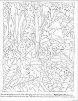 Coloring Pages Hidden Camouflage Printable Getcolorings Color Getdrawings Print Colorings sketch template