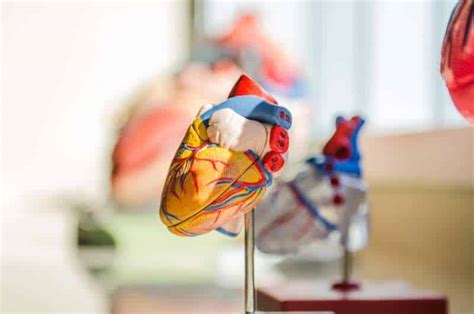 bionic pacemaker reverses heart failure  future