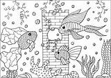 Colorare Pesci Ryby Peces Fishes Poissons Disegni Fische Akwariowe Kolorowanka Adulti Trois Adultos Druku Erwachsene Malbuch Justcolor Rybki Chateau Jolis sketch template