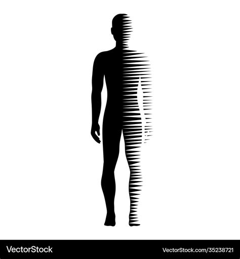 human body logo royalty  vector image vectorstock
