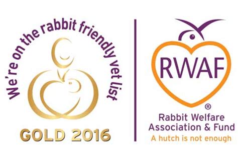 our work rabbit welfare association and fund rwaf