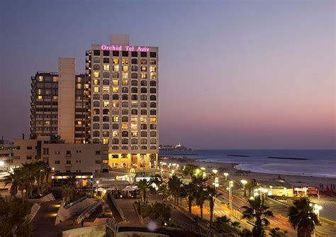 orchid tel aviv   prices hotel reviews israel tripadvisor