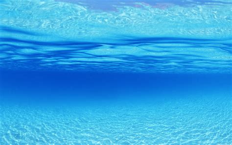 blue sea underwater wallpaper  hd wallpaper id shared