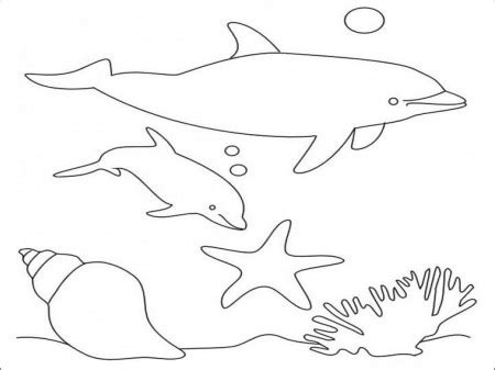 dolphin heart coloring pages love heart coloring pages