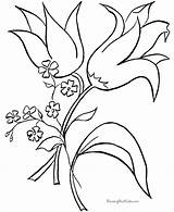 Flower Outline Coloring Printable Popular Pages sketch template