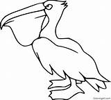 Pelican Coloringall Kids sketch template