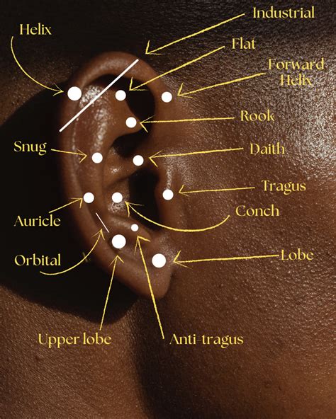 types  ear piercing chart