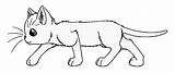 Coloring Pages Squirrelflight Template sketch template