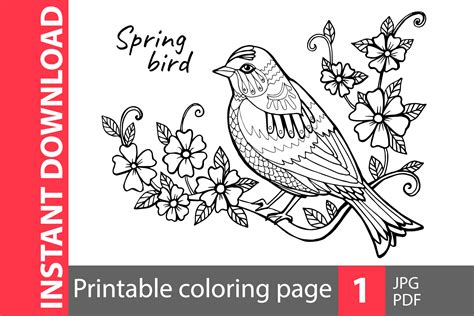 spring bird coloring page  aquarelloaquarelle thehungryjpeg