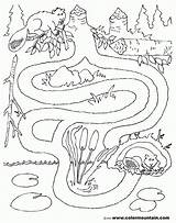 Toca Castor Maze Beaver Colouring Colorir Labyrinth Rivers Kindergarten Coloringhome Tudodesenhos sketch template