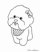 Coloring Pages Maltese Puppy Dog Hellokids Dogs Print Cute Choose Puppies Animal Color Online Visit Board sketch template
