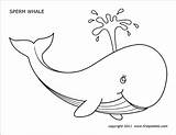 Whale Coloring Pages Printable Colouring Whales Kids Templates Template Jonah Animal Color Jeffy Sperm Sea Crafts Activities Drawing Firstpalette Printables sketch template