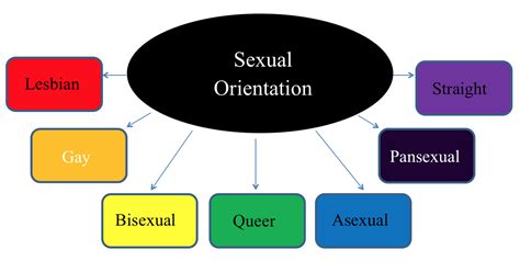 Is Sexual Orientation The Same As Gender Identity The
