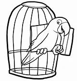 Coloring Cage Bird Pages Parrot Printable Outline Kids Colouring Pets Pet Clipart Cages Drawing Rainforest Color Cartoon Coloring4free Parrots Birds sketch template