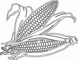 Corn Clipart Coloring Pages Cartoon Field Drawing Cob Stalk Printable Transparent Clipartix Clip Getdrawings Maize Color Library Clipground Webstockreview Getcolorings sketch template