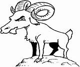 Goat Billy Pages Goats Cabras Ziege Ausmalbilder Ausmalbild Mwb Animais sketch template