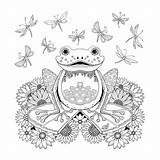 Johanna Basford Frog Mandala Coloriage Frosch Rane Enchanted Colorir Adultes Ausmalbild Ranocchio Enchantee Foret Mosaico Designkids Colorier Adults Dessin Floresta sketch template