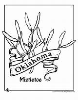 Flower Oklahoma State Coloring Pages Tree Mexico Kids Woojr Library Choose Board Sheet Comments sketch template