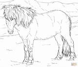 Coloring Pages Horse Printable Horses Adults Popular sketch template