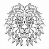 Zentangle Lion Head Vector Illustration Stylized Doodle Hand Stock sketch template