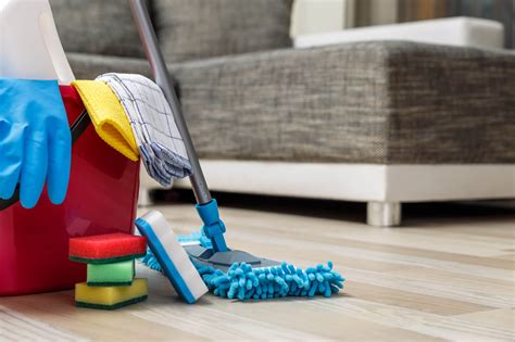 ways  clean  house   pro housekeeper