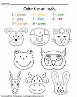 Animal Coloring Worksheets sketch template