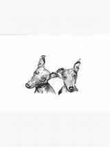 Redbubble Whippets Features sketch template