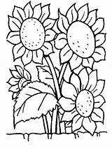 Colorat Floare Interferente Zambitoare Trandafir Copilul Educatie sketch template