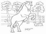 Pages Coloring Rearing Horses Getcolorings Horse Color sketch template