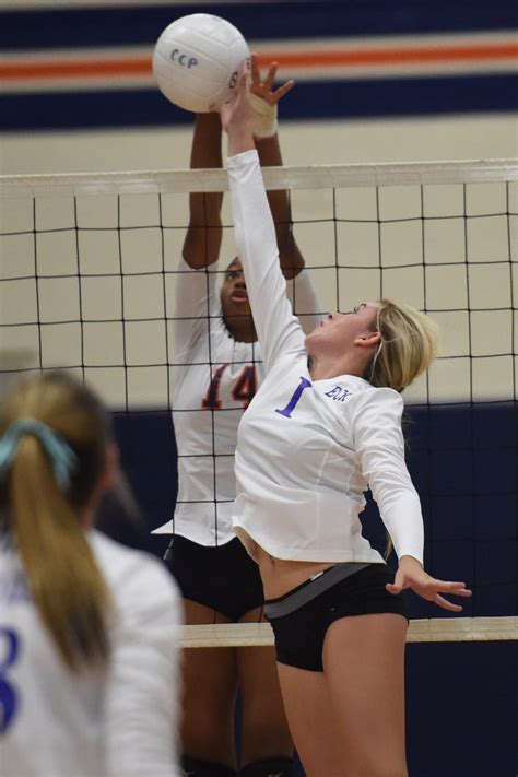El Camino Real Volleyball Rallies For Win Over Chaminade – Daily News