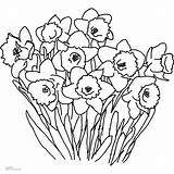 Coloring Pages Spurs Getcolorings Wildflower sketch template