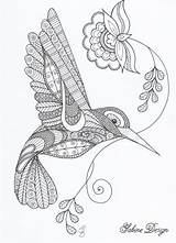 Hummingbird Zentangle Dawanda Sabine Bezoeken Uniek Een sketch template