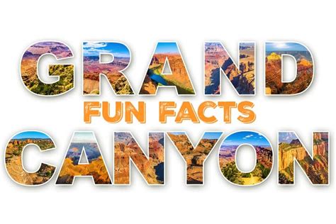 grand canyon fun factsclark griswold style