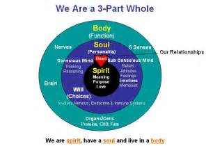spirit mind body health  christian perspective  gods design  man