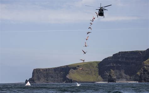 diving   cliff sport  business