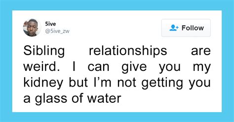 20 Hilarious Tweets Illustrating What Its Like To Have A Sibling