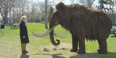 effort  clone woolly mammoth takes big step  huffpost