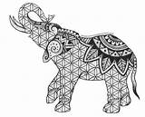 Mandala Elefante Elefantes Mandalas Procoloring sketch template
