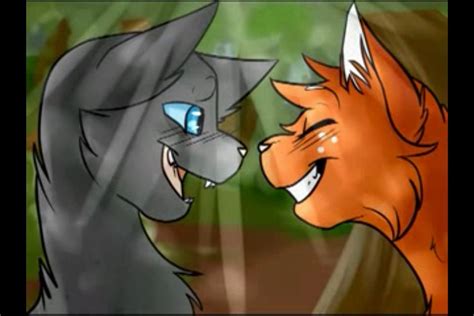 Ashfur And Squirrelflight If You Look In The Very