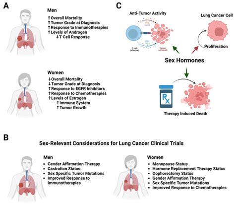 Cancers Free Full Text Sex Differences In Lung Cancer