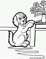 Coloring Table Dog 676e Trying Pages Puppies Printable Begging Color Puppy sketch template