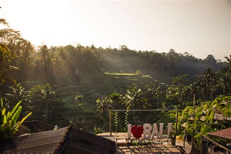 Tegalalang Rice Terrace In Ubud A Guide To Bali S Most Beautiful Rice