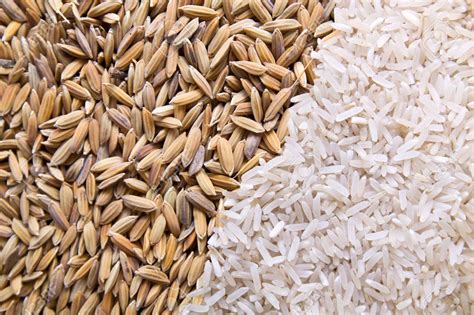 rice husk  environmentally friendly alternative  rice bamai uma