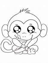 Singe Monkeys Rigolo Noix Guenon Singes Justcolor Colorier Terrific Coloriages Buzz2000 sketch template