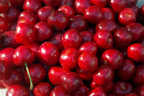 free images fruit berry food produce tasty cherry flowering